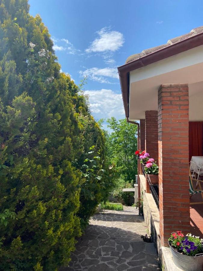La Stella Danzante B&B Camerata Vecchia Екстериор снимка